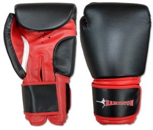 Boxing Gloves