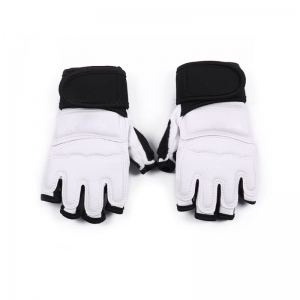 Teakwandow Gloves