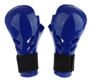 Sparring Gloves Mitts